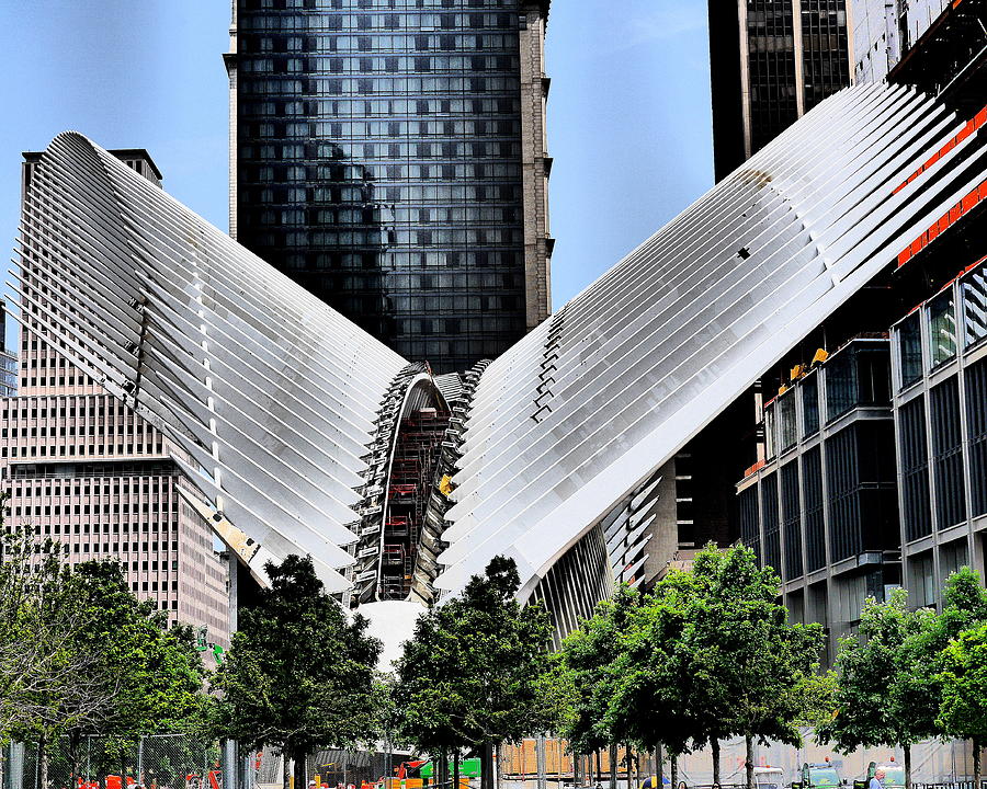 Calatrava Butterfly at the World Trade Center Photograph by Jack Riordan