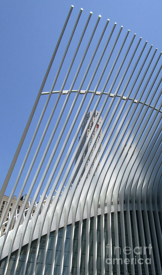 Calatrava New York 1 Photograph by Randall Weidner