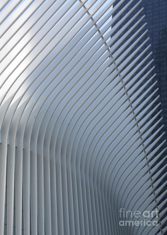 Calatrava New York 3 Photograph by Randall Weidner