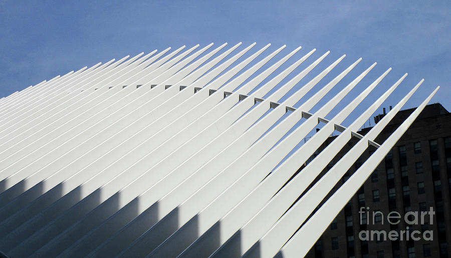 Calatrava New York 5 Photograph by Randall Weidner