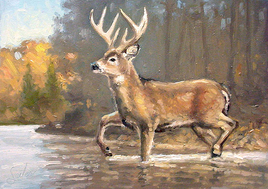 Wildlife Painting - Calculating the Risk - Whitetail Crossing by Larry Seiler