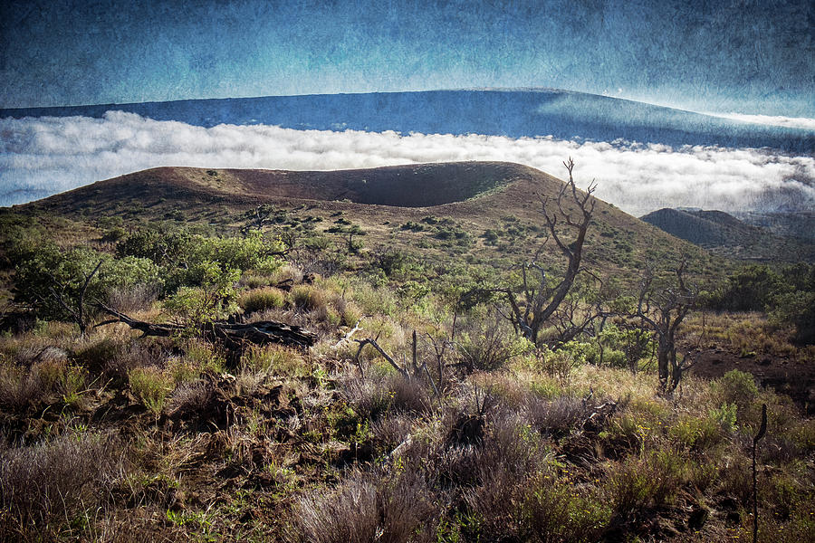 Caldera on the flank of Mauna Kea Hawaii Photograph by Mary Lee Dereske