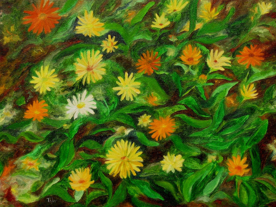 Calendula Painting by FT McKinstry