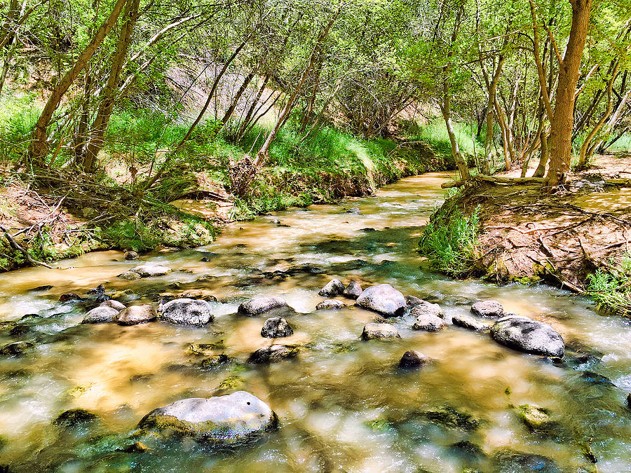 Calf Creek Photograph by Robert Meyers-Lussier