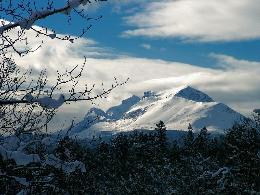 Calf Robe Mountain in Winter Photograph by Tracey Vivar