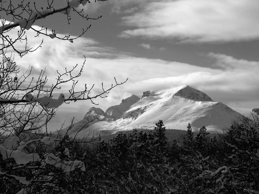 Calf Robe Mountain in Winter, Black and White Photograph by Tracey Vivar