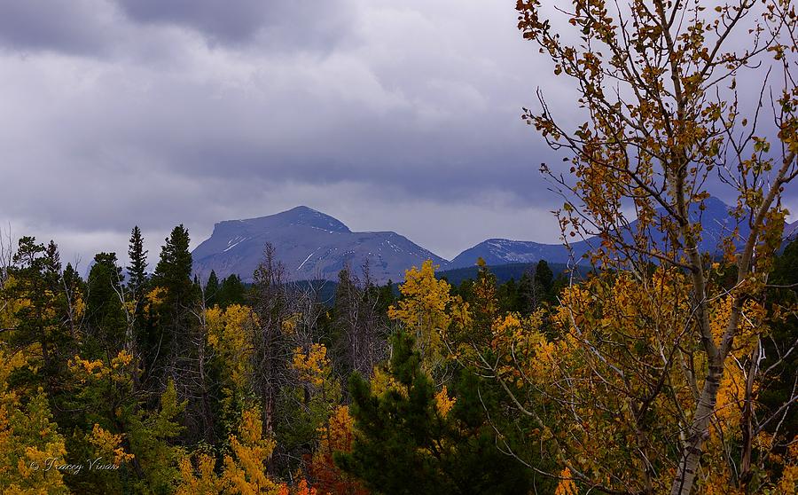 Calf Robe Mountain with Autumn Foliage Photograph by Tracey Vivar