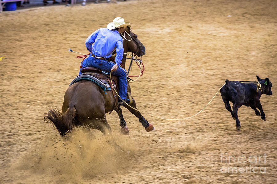Calf Roping At The Rodeo Photograph by Rene Triay FineArt Photos