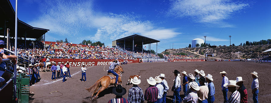 Animal Photograph - Calf Roping Event At Ellensburg Rodeo by Panoramic Images
