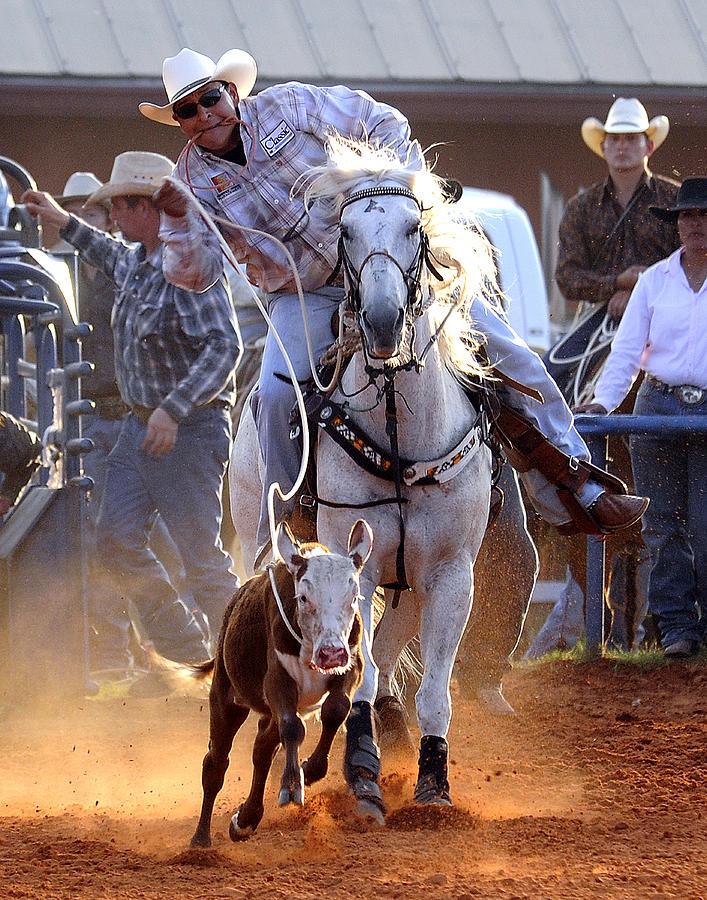 Calf Roping Photograph by Keith Lovejoy