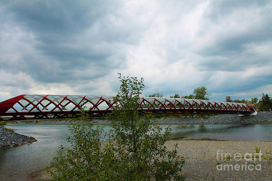 Calgary Peace Bridge and Bow River Photograph by Nina Silver
