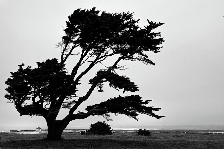 Black And White Photograph - Cali Coast Pt Arena 9 by JustJeffAz Photography