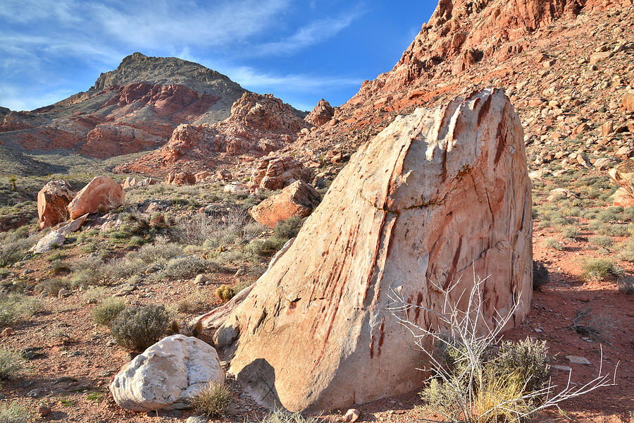Calico Basin Boulders II Photograph by Ray Mathis