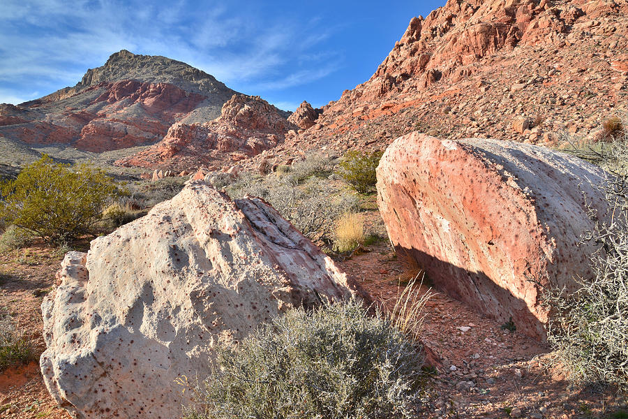 Calico Basin Boulders Photograph by Ray Mathis