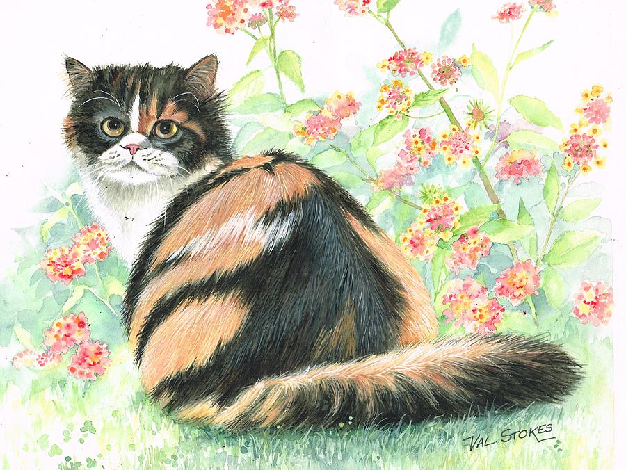 Calico cat.. Painting by Val Stokes