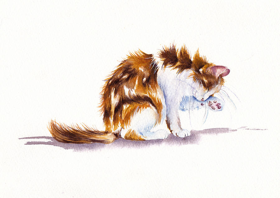 Calico Cat Washing Painting by Debra Hall