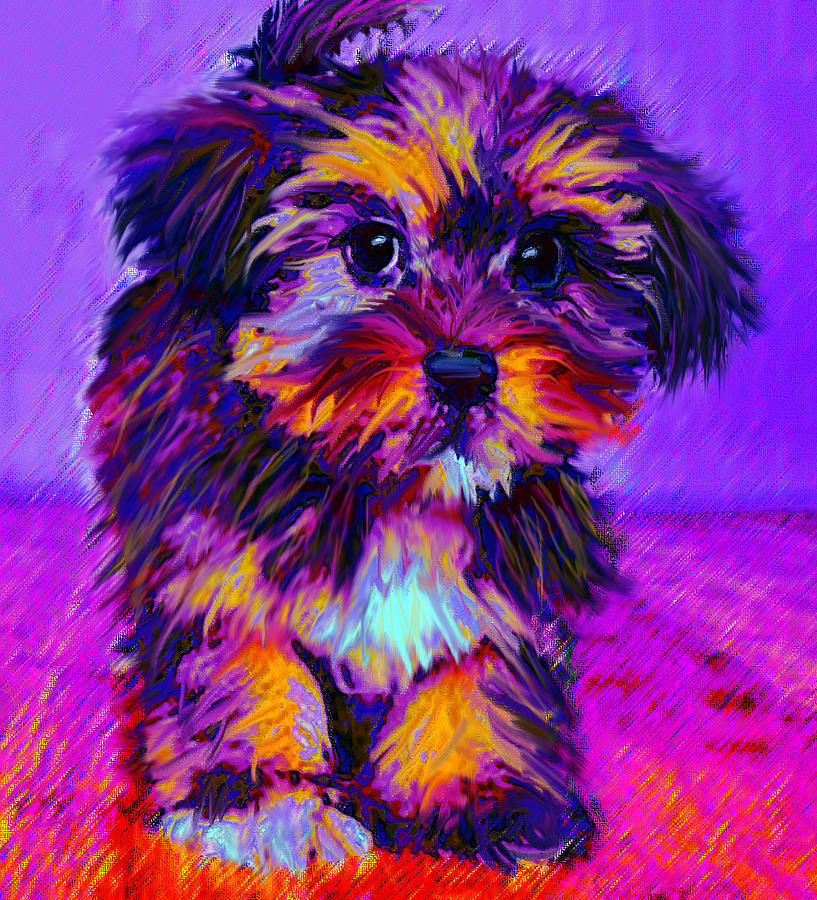 Calico Dog Digital Art by Jane Schnetlage