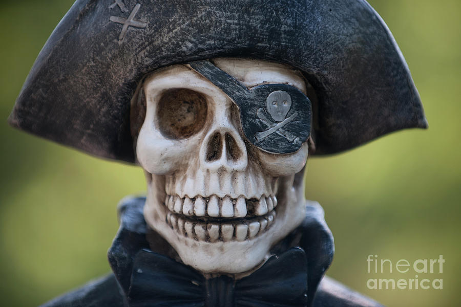 Calico Jack Photograph by Dale Powell