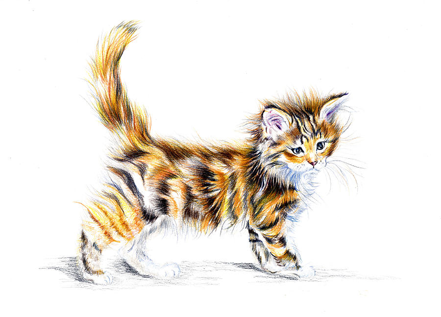 Calico Kitten Painting by Debra Hall