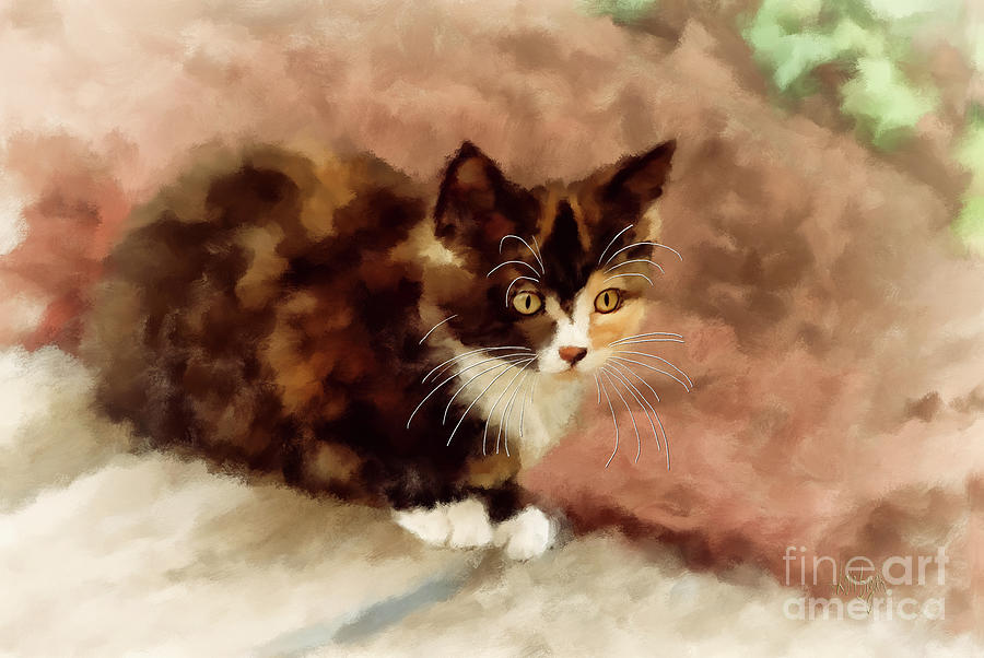 Calico Kitten Digital Art by Lois Bryan