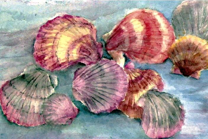 Calico shells Painting by Suzanne Krueger