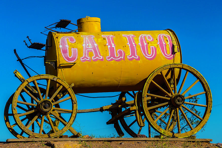 Calico Water Wagon Photograph by Garry Gay