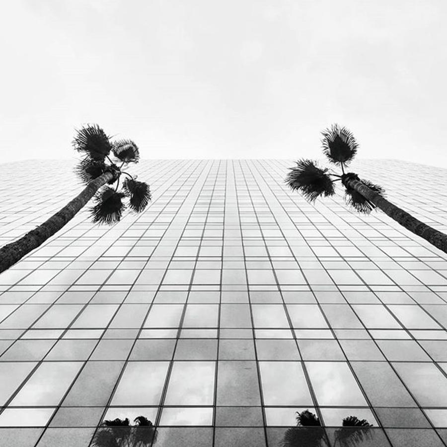 Architecture Photograph - California Bank And Trust With The by Sean Kalimi
