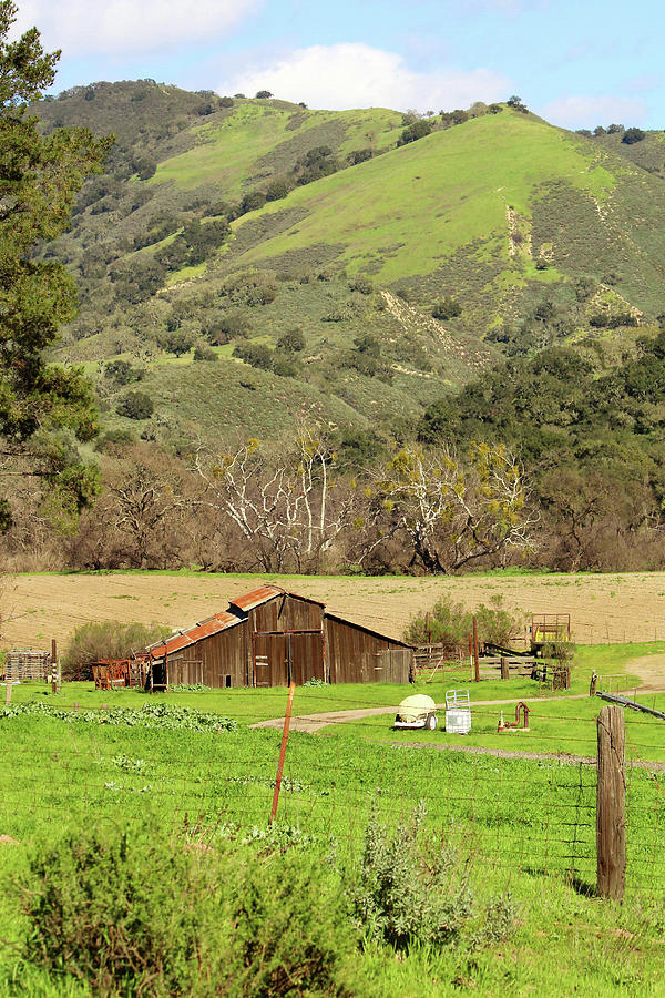 California Barn in Spring Photograph by Art Block Collections
