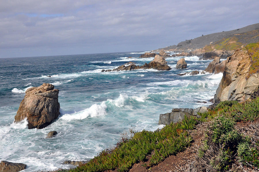 California Central Coast in Winter Photograph by Sandy Fisher