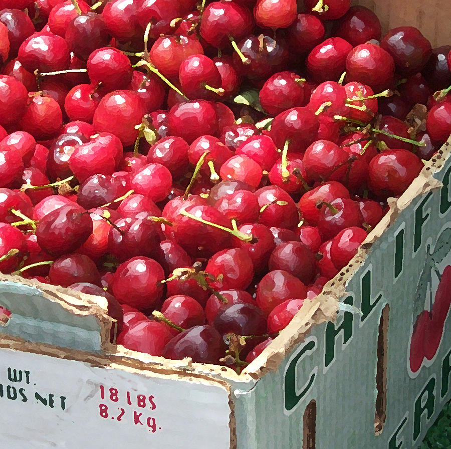 Fruit Photograph - California Cherries by Linda Scharck