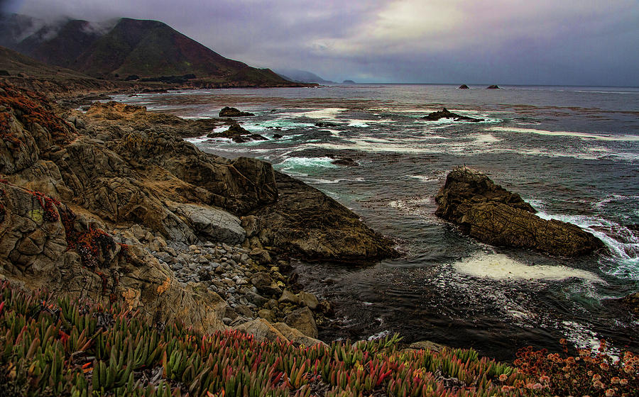 California Coast - 2797 Photograph by Deidre Elzer-Lento