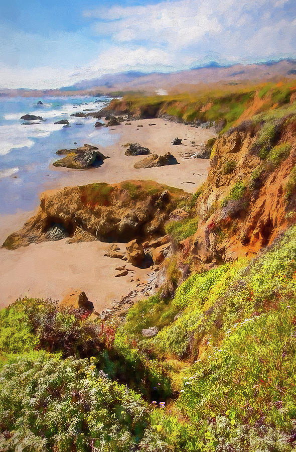 California Coast -  Cliffs Beaches and Wildflowers AP Painting by Dan Carmichael