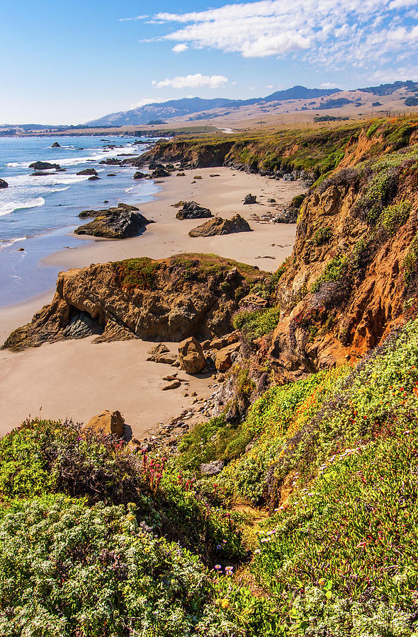 California Coast -  Cliffs Beaches and Wildflowers Photograph by Dan Carmichael