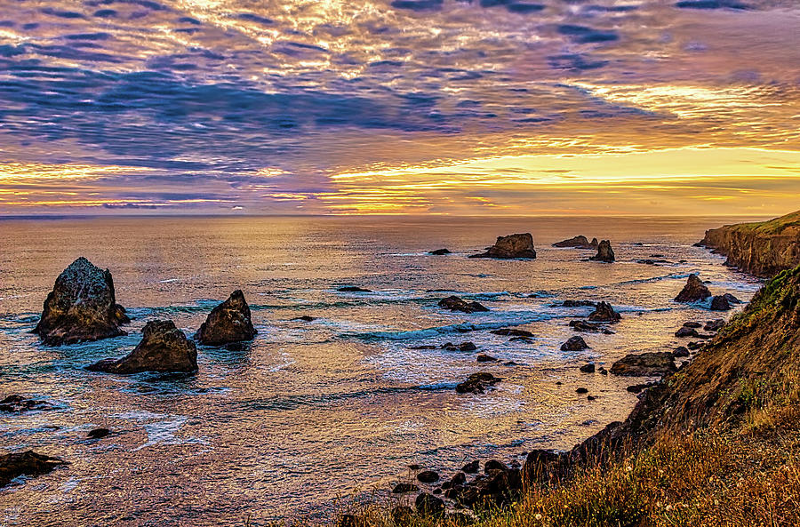California Coast Golden Sunset Photograph by Dan Carmichael