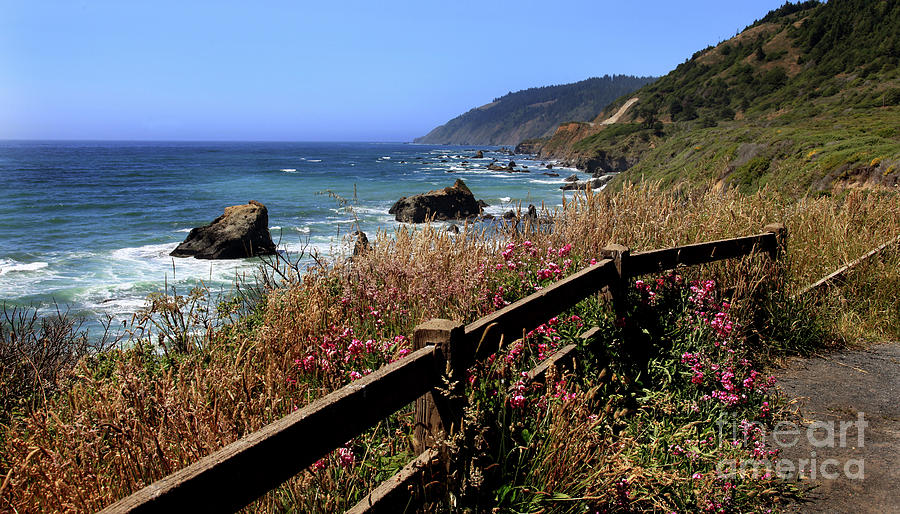 California Coast Photograph by Joseph G Holland