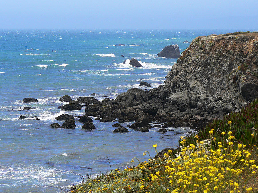 California Coast Photograph by Laurel Powell