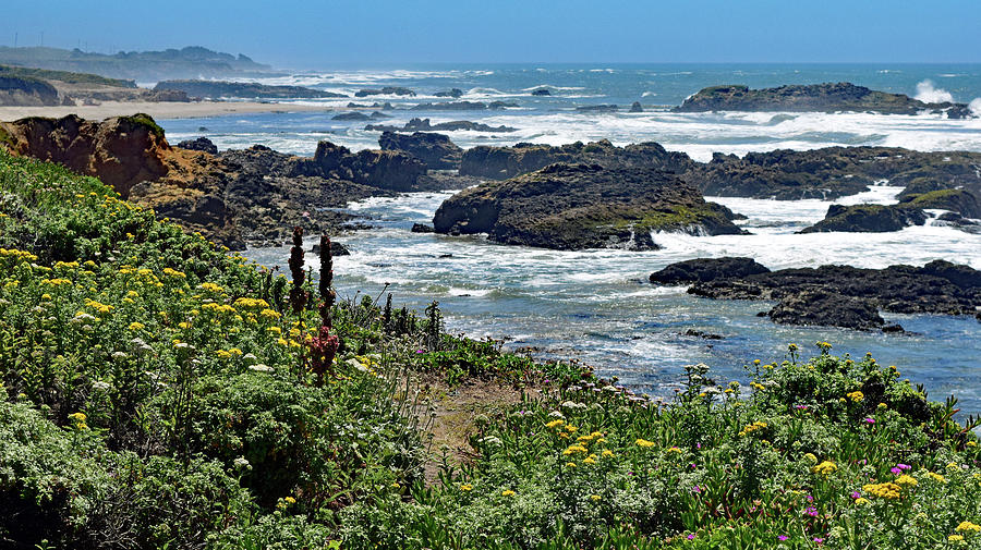 California Coast No. 9-1 Photograph by Sandy Taylor