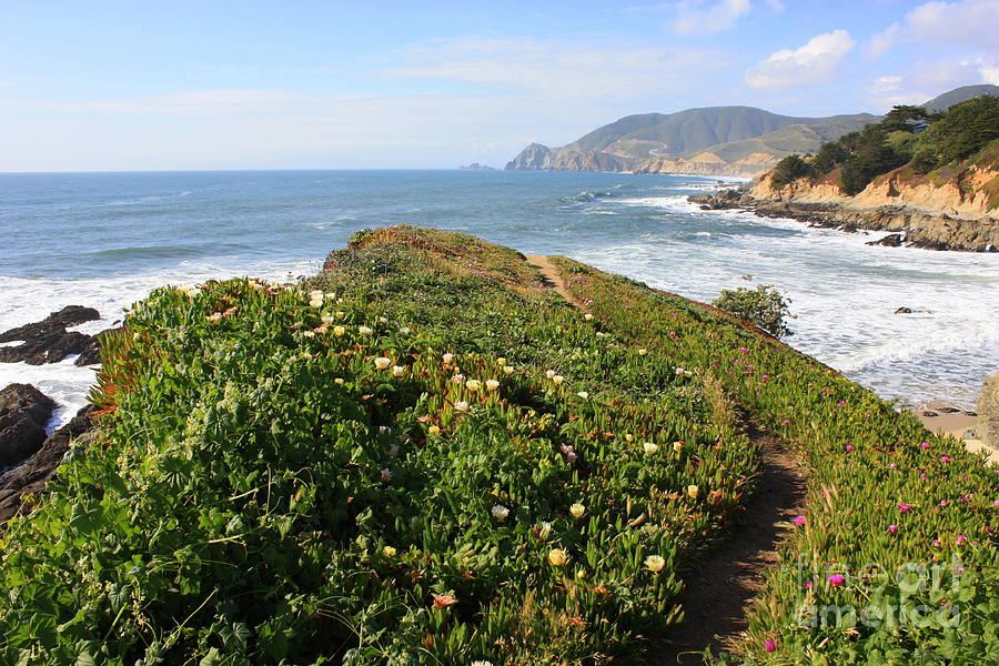 California Coast Path Photograph by Carol Groenen