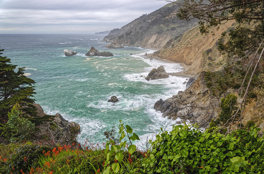 California Coast Photograph by Tony Crehan
