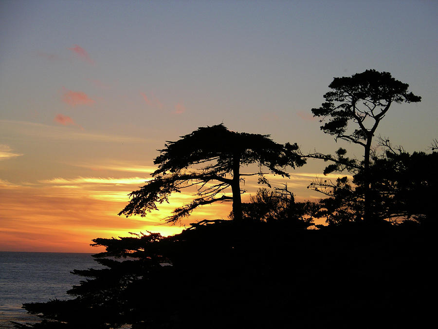 California Coastal Sunset Photograph by David Shuler