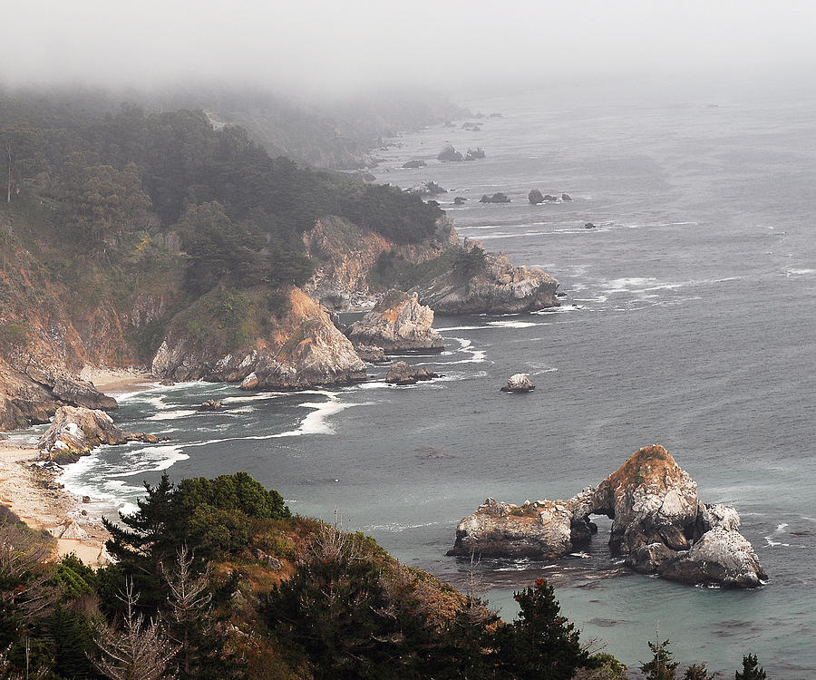 California  Coastline Photograph by Don Wolf