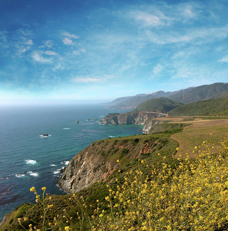 California coastline Photograph by Les Cunliffe