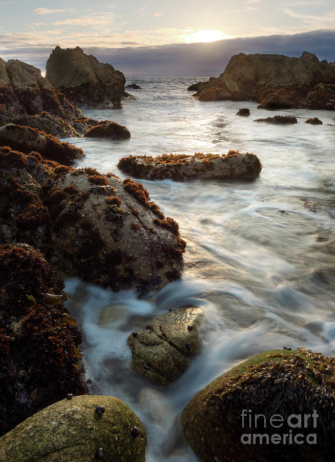 California Coastline Sunset, Pacific Grove, CA #40105-07-10 by John Bald California Coastline Sunset, Pacific Grove, CA #40105-07-10 by John Bald