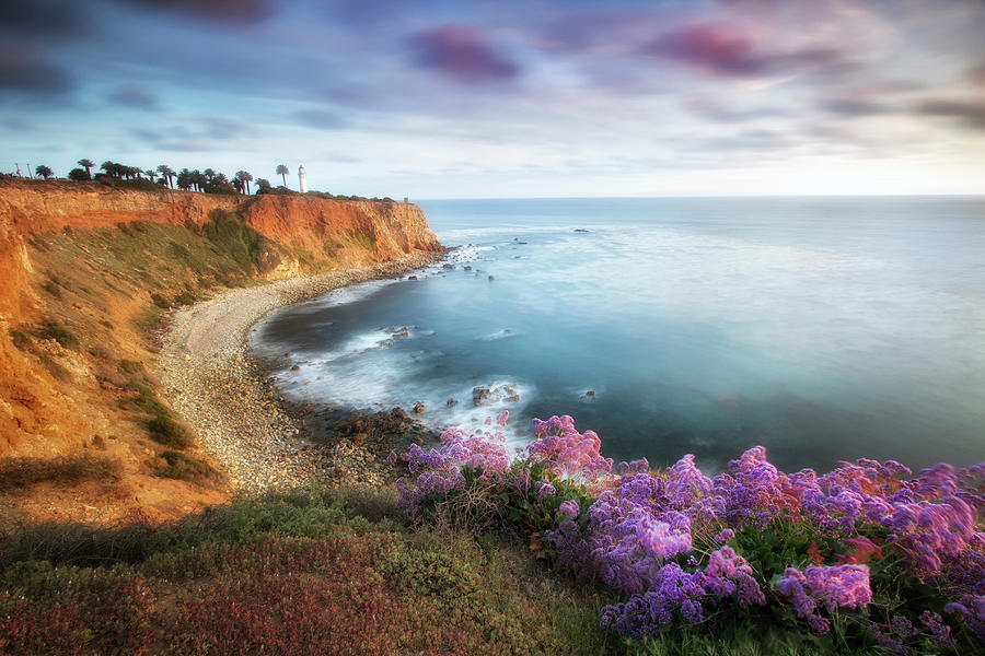 California Colors  Photograph by Nicki Frates