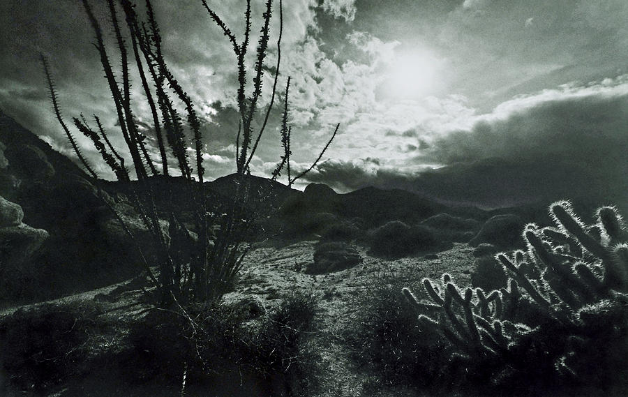 California Desert Photograph by John Gilroy