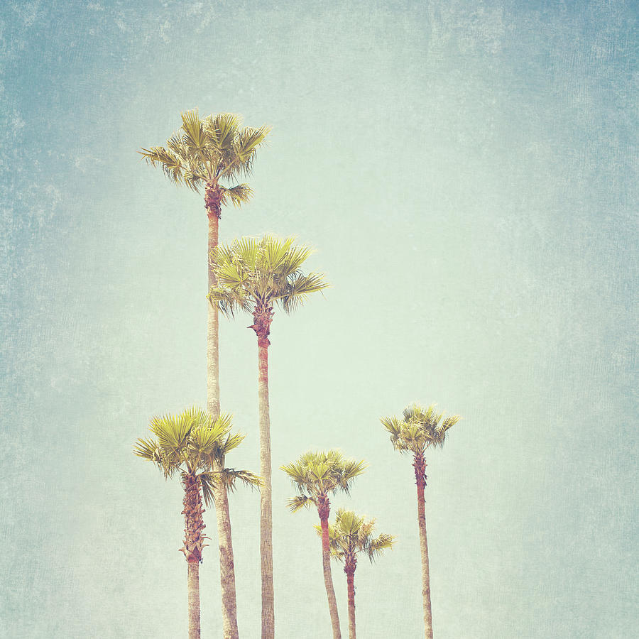 California Dreaming - Retro Palm Tree Print Photograph by Melanie Alexandra Price