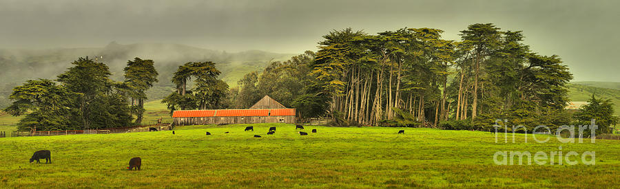California Farm Country Photograph by Adam Jewell