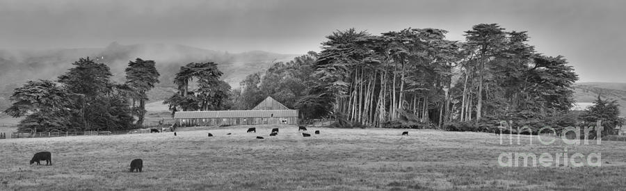 California Farm Country Black And White Photograph by Adam Jewell