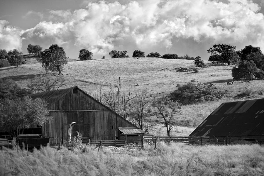 California Farmland - Black and White Photograph by Peter Tellone