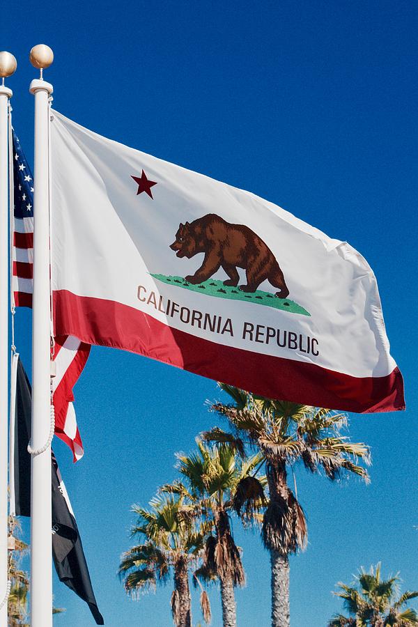 Tree Photograph - California Flag by Carol Tsiatsios